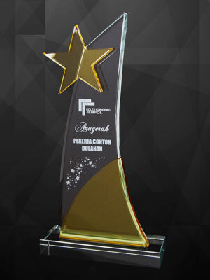 Exclusive Crystal Star Plaques