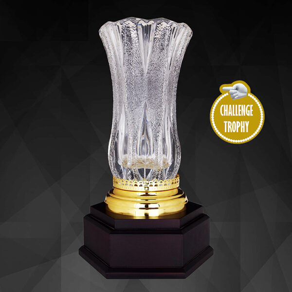 Exclusive Crystal Trophy