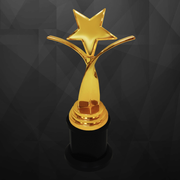 Exclusive Sculptures Awards (Star)