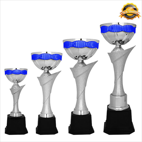 Metal Bowl Trophy