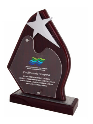 Wooden Plaque With Star
