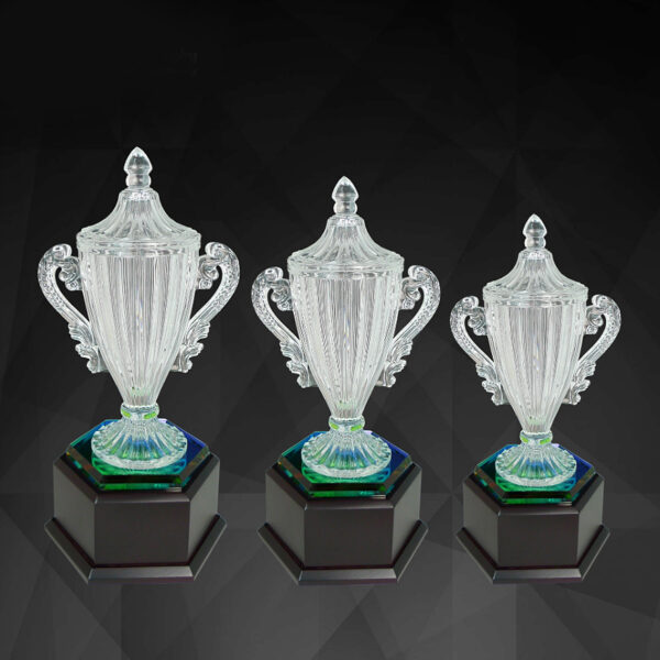 Exclusive Crystal Trophy