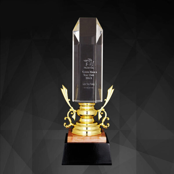Exclusive Crystal Trophy