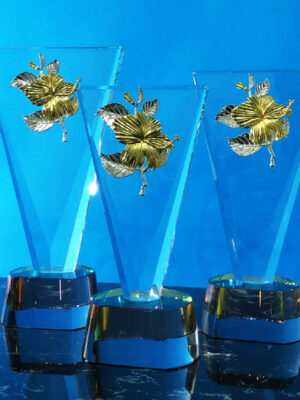 Exclusive Crystal Trophy