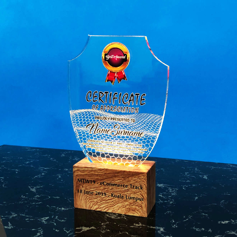 Acrylic LED Lighting Trophy