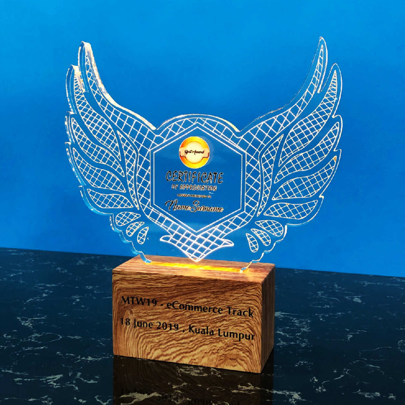 Acrylic LED Lighting Trophy