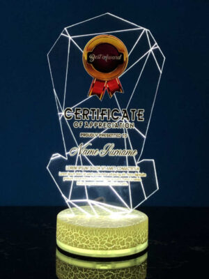 Acrylic LED Lighting Trophy