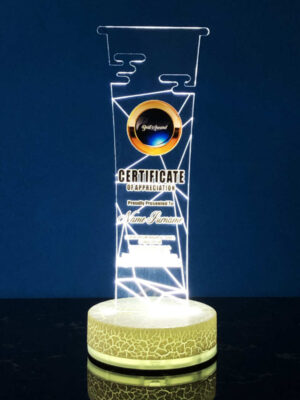 Acrylic LED Lighting Trophy