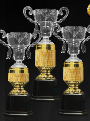 Acrylic Trophy