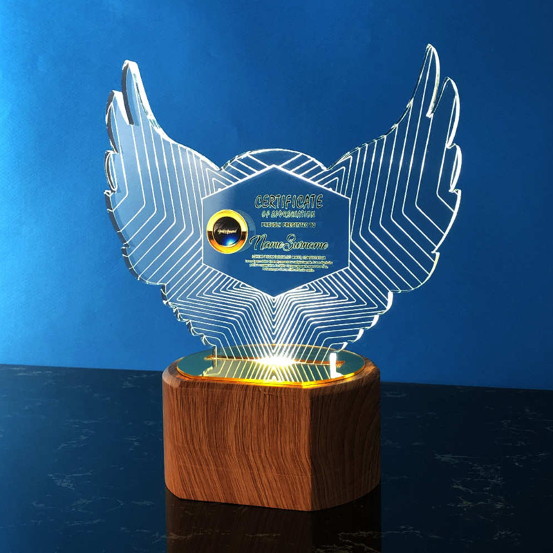 Acrylic LED Lighting Trophy