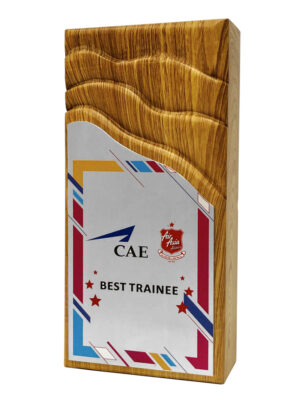 Modern Wooden Plaque
