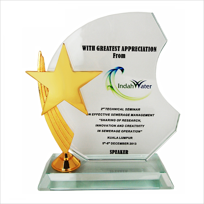 Exclusive Crystal Star Plaque