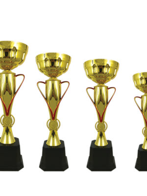 Metal Cup Trophy
