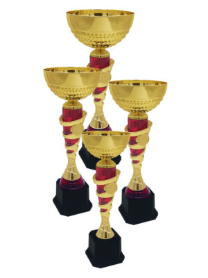 Metal Cup Trophy