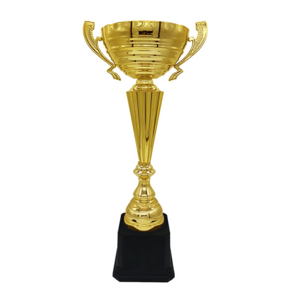 Metal Cup Trophy