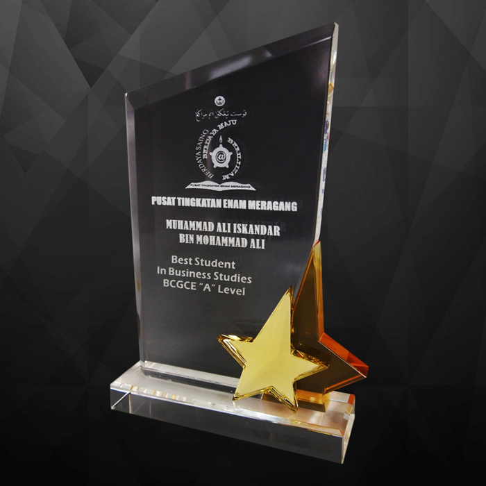 Exclusive Crystal Star Award