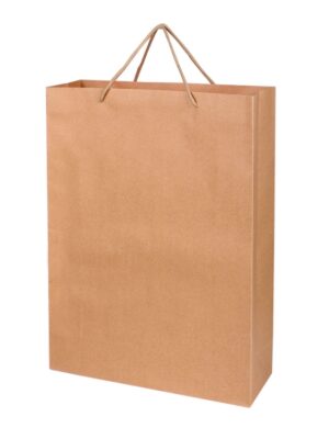 PB 963 Recycle Paper Bag