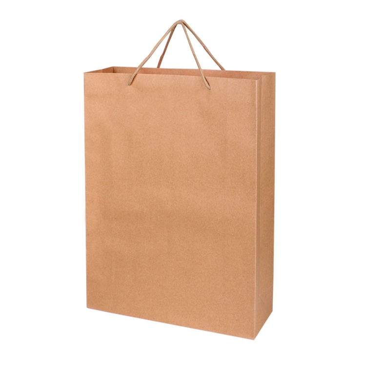 PB 963 Recycle Paper Bag