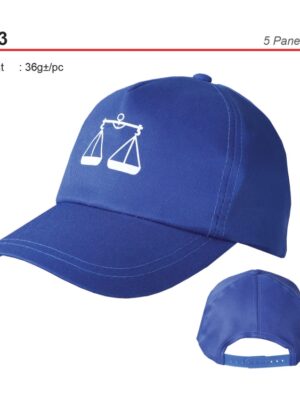 E 03 5 Panel Cap