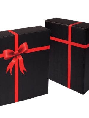 B 180 Ribbon Gift Box