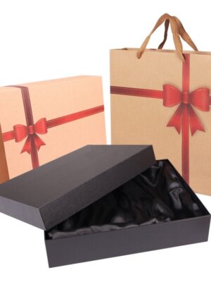 B 16-V (PB) Gift Box with Paper Bag