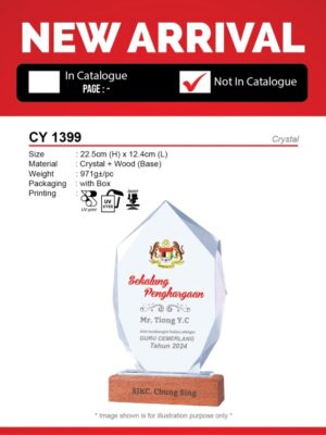 CY 1399 Crystal