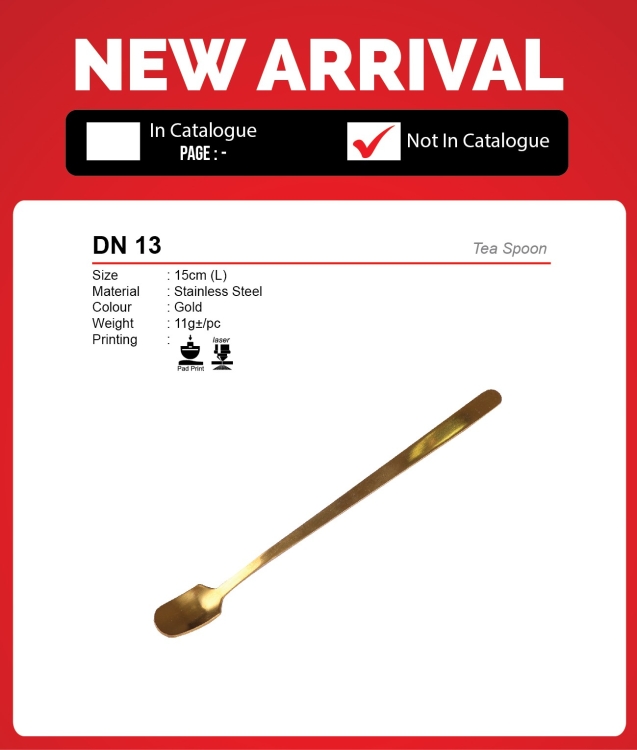 DN 13 Tea Spoon