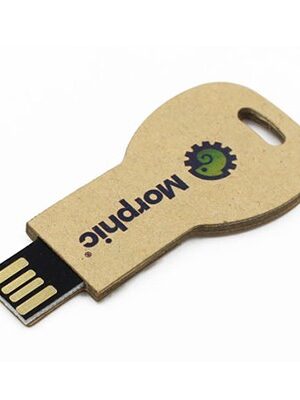 Eco Key Shaped 01 USB Flash Drive - 8GB