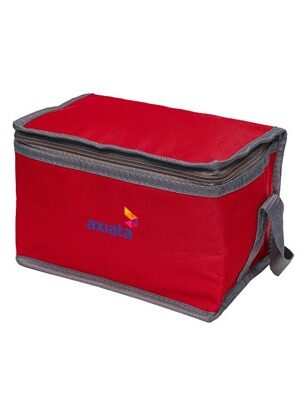Nylon Cooler and Warmer Bag