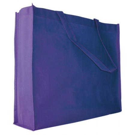 Assorted Non-Woven Eco Bag – 100gsm (412 x 312 x 100)