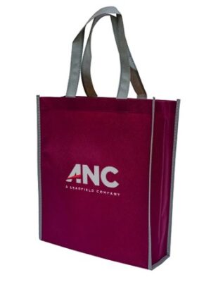 Non-Woven Bag Colour Lining 90gsm (330x280x90)