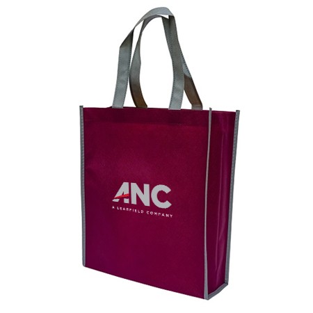 Non-Woven Bag Colour Lining 90gsm (330x280x90)