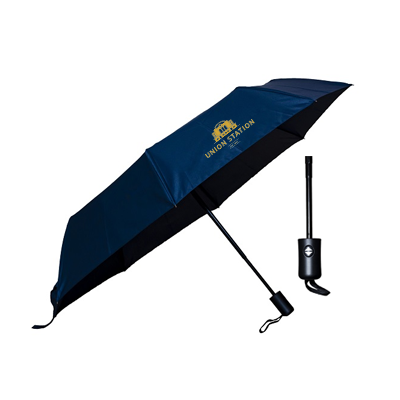 21″ Auto Open Foldable Umbrella with Pouch
